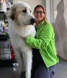 Elisabete Paulo Clínica veterinária de Celeirós